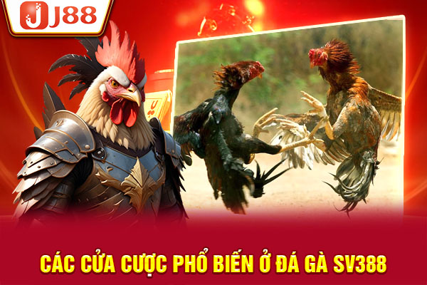 Các cửa cược phổ biến ở đá gà SV388